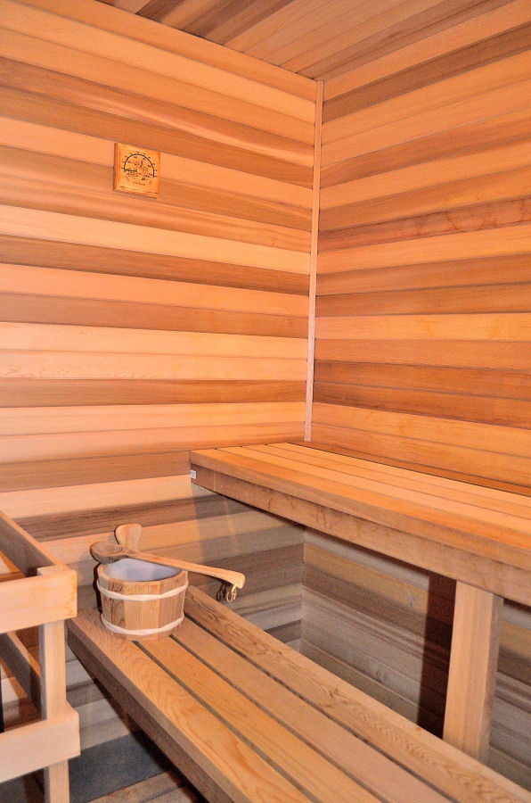 Sutton lower level sauna photo_3728